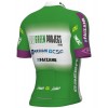 Green Project-Bardiani Csf-Faizane' 2023 set (jersey lange rits+broek)-ALE professionele wielerploeg