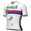 Ale Bahrain Victorious 2024-jersey voor heren - Brits kampioen
