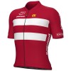 Heren Fietskleding Ale Deens elftal 2025 shirt