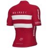 Heren Fietskleding Ale Deens elftal 2025 shirt