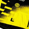 Heren Team Visma Lease a Bike 2025 The Wingbeat Shirt - Wout Van Aert