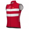 Heren Ale Deense Nationale Team Vest 2025