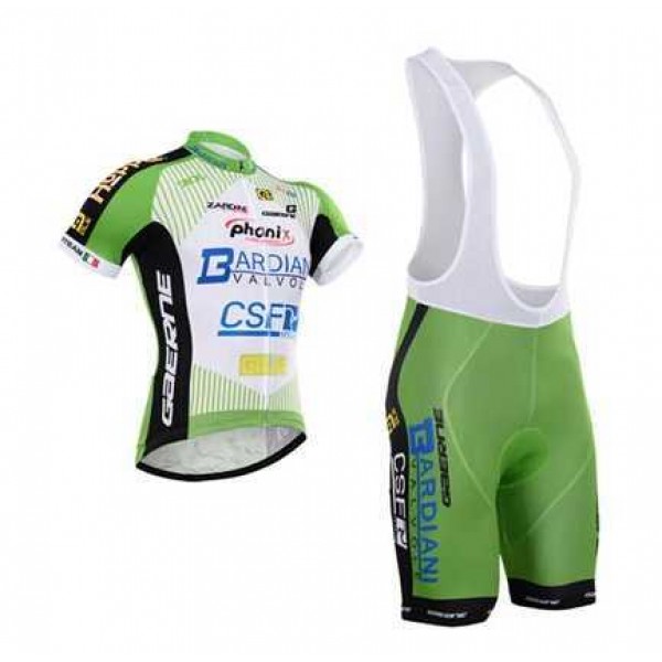 2015 Bardiani Csf Fietskleding Set Fietsshirt Met Korte Mouwen+Korte Koersbroek