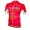 2016 Wielershirt Cofidis Korte Mouw