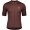 Wielerkleding Profteams 2020 SCOTT ENDURANCE 10 Wielershirt Met Korte Mouwen Marrone