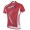 2014 Fox Bike Teams Wielershirt Met Korte Mouwen Rood